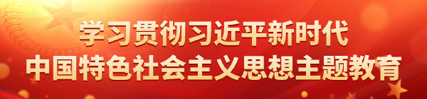 學習貫徹習近平新時代中國特色社會主義思想主題教育